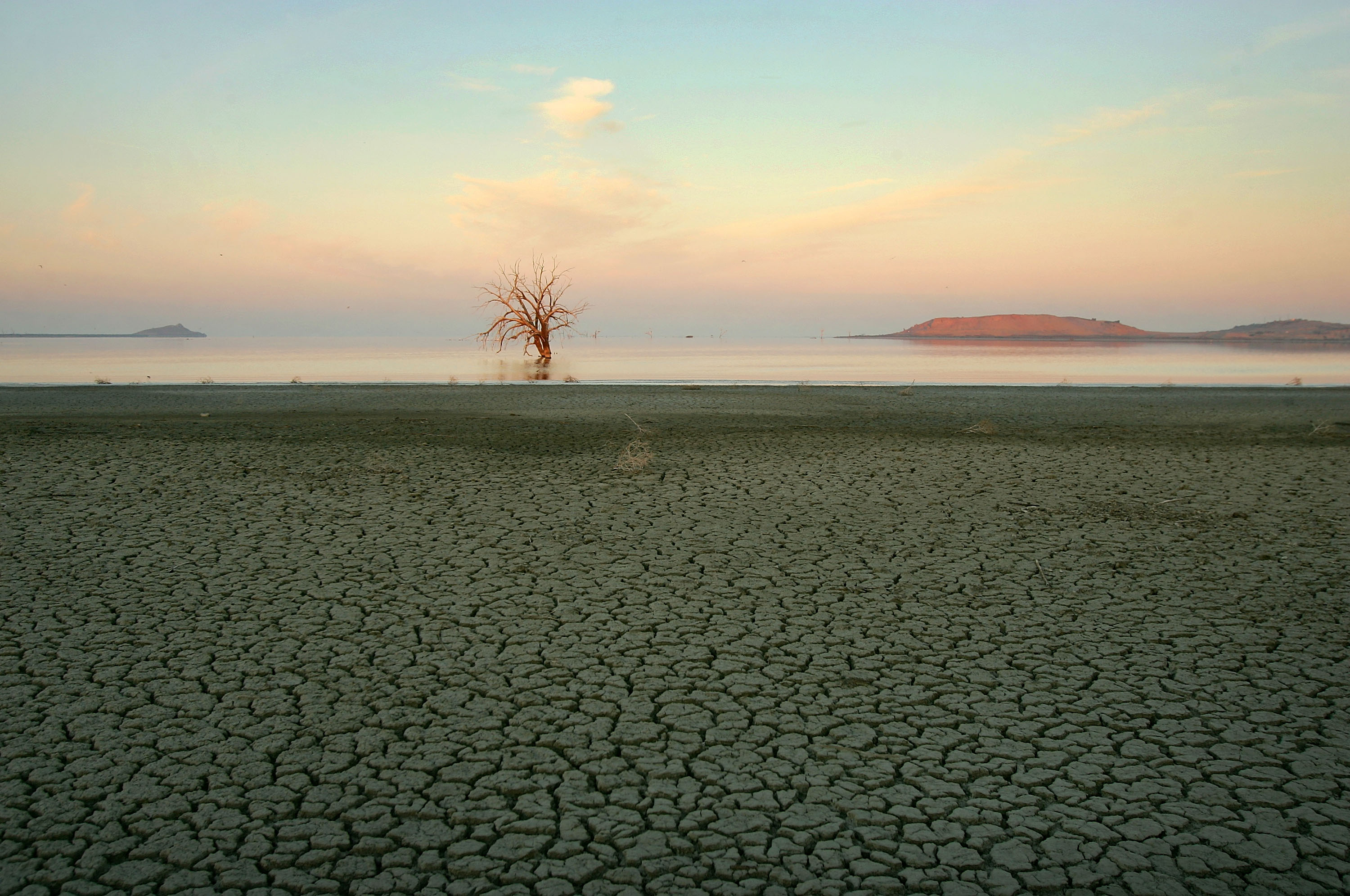The east shore of the Salton Sea. 