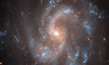 A Hubble Space Telescope captures the blue glow of young stars within a galaxy.