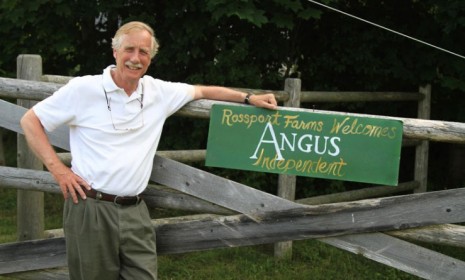 Independent former Maine Gov. Angus King is the heavy favorite to win retiring Sen. Olympia Snowe&#039;s seat.