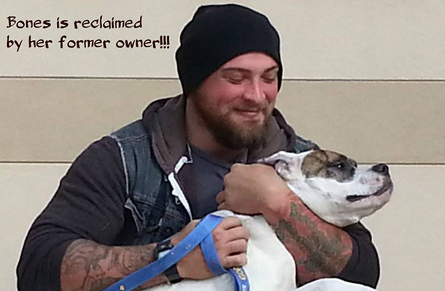Veteran finds dog years after she was given away during deployment