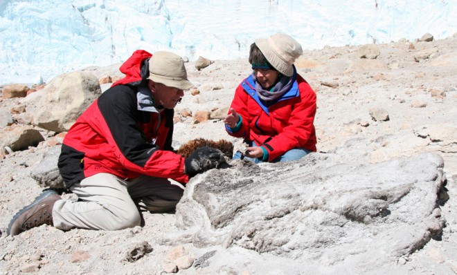 Ohio State University glaciologist Lonnie Thompson and a colleague examines dried parts of the Quelccya ice cap in this undated photo.