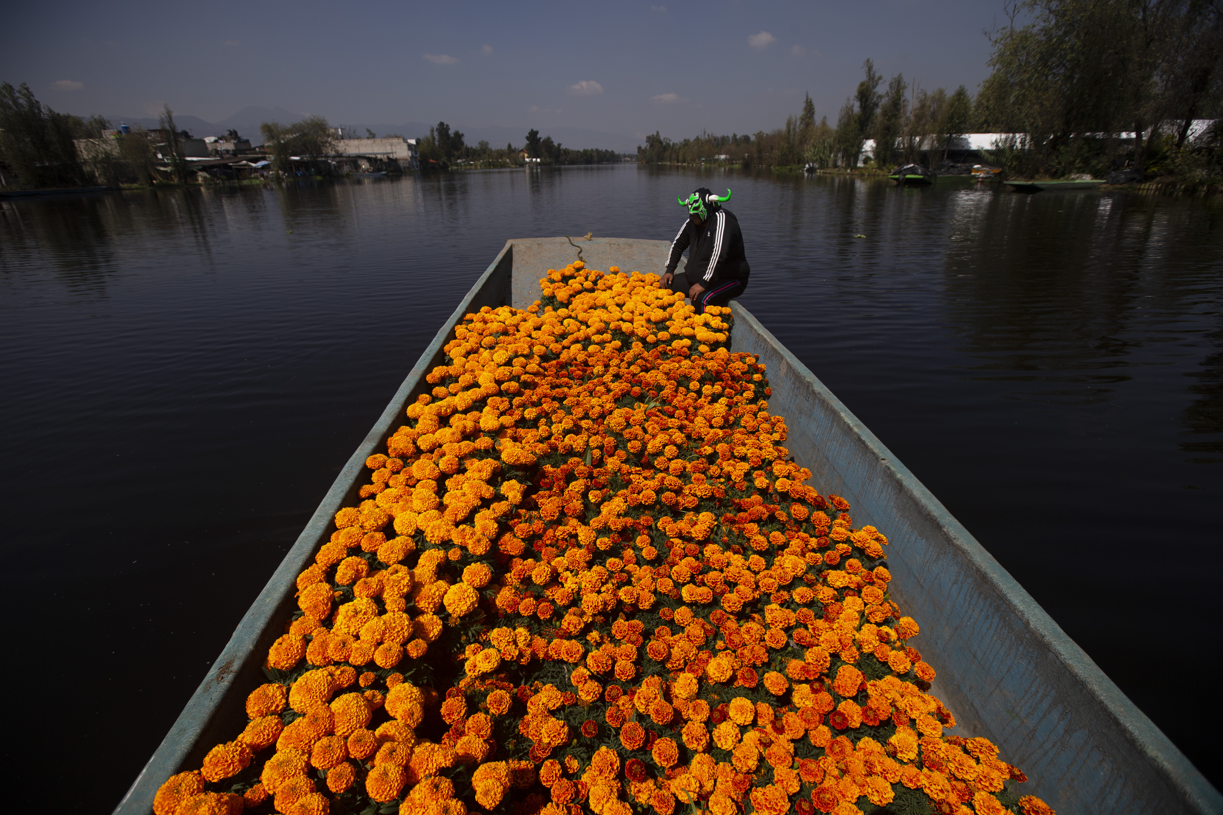 A wrestler on a boat full of flowers.