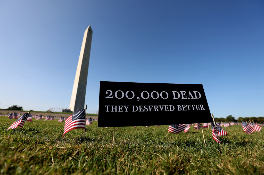 Flags marking COVID-19 deaths on the Washington Mall