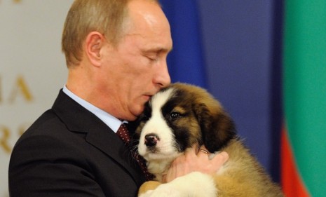 Russian Prime Minister Vladimir Putin gets in touch with his softer side during a quiet moment with his new Bulgarian Shepherd puppy.