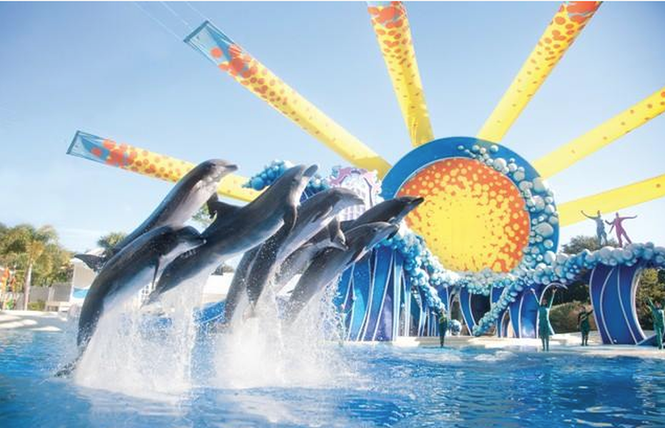 SeaWorld shares fall over 10 percent in light of third quarter results