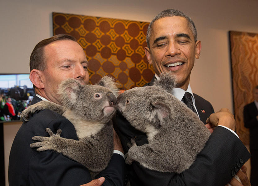 Obama, Putin meet adorable koalas at G-20 summit