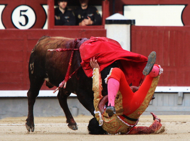 Spanish bullfighting festival stopped after bulls start winning
