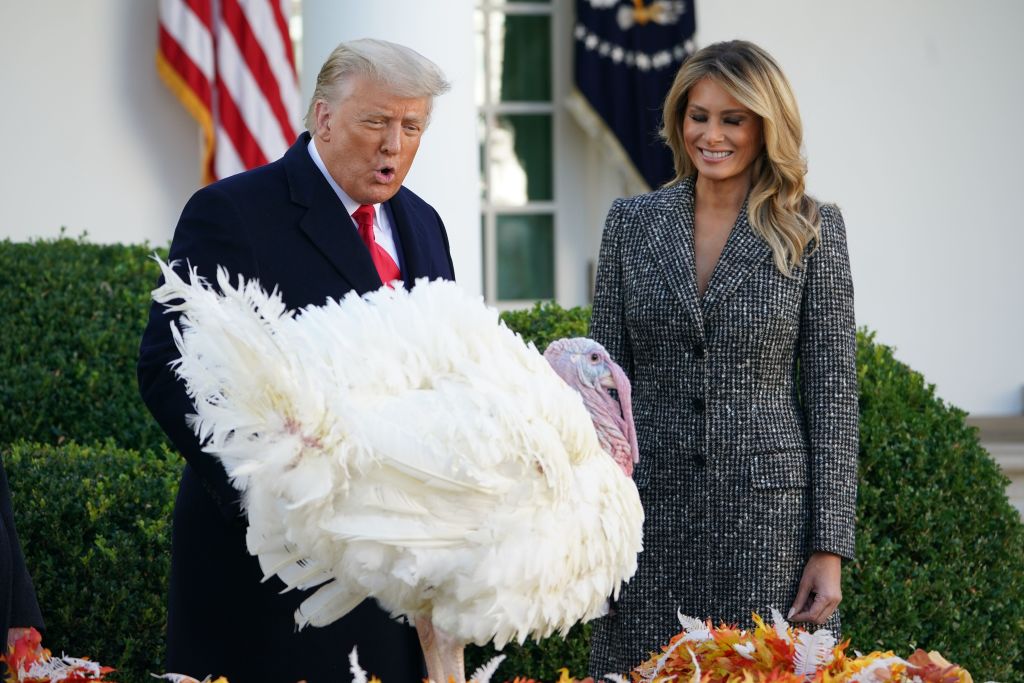 Donald Trump pardons Corn the turkey.