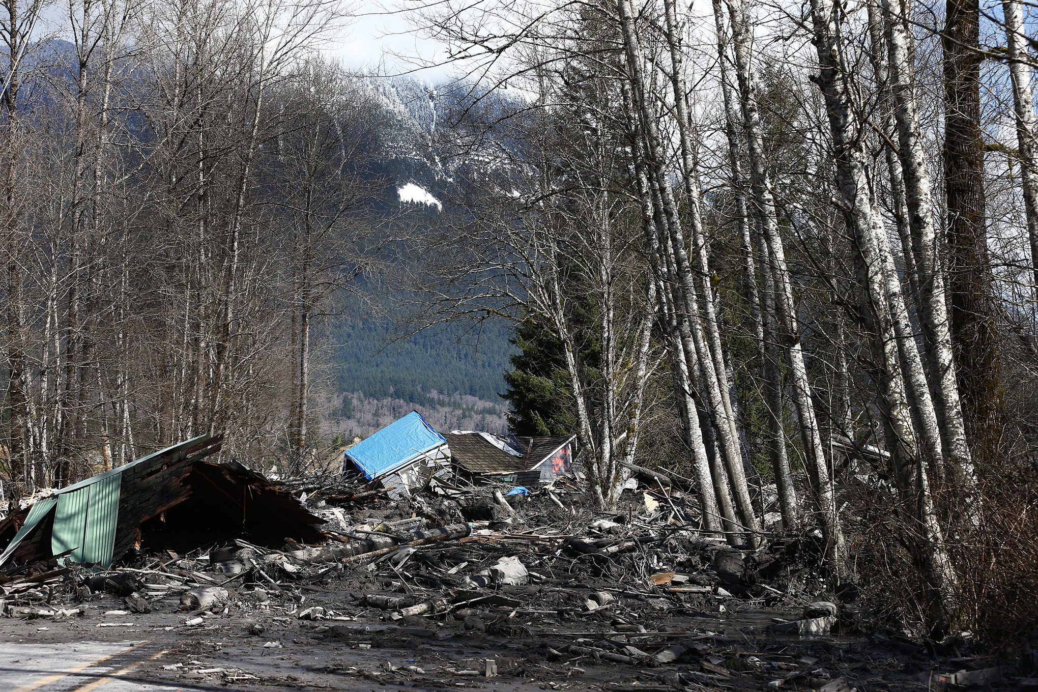 Washington State mudslide&#039;s death toll rises to 8, with a dozen still missing