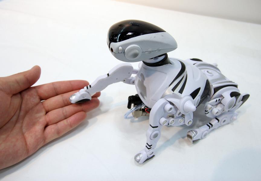 The cuter the robot, the bigger the security risk?