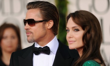 Are Angelina Jolie and Brad Pitt producing geniuses? A study suggests that beautiful women flock to successful men whose offspring are thereby pretty and smart. 