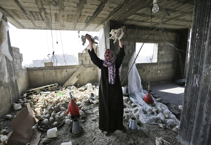 Gaza death toll passes 1,000 as 12-hour cease-fire begins