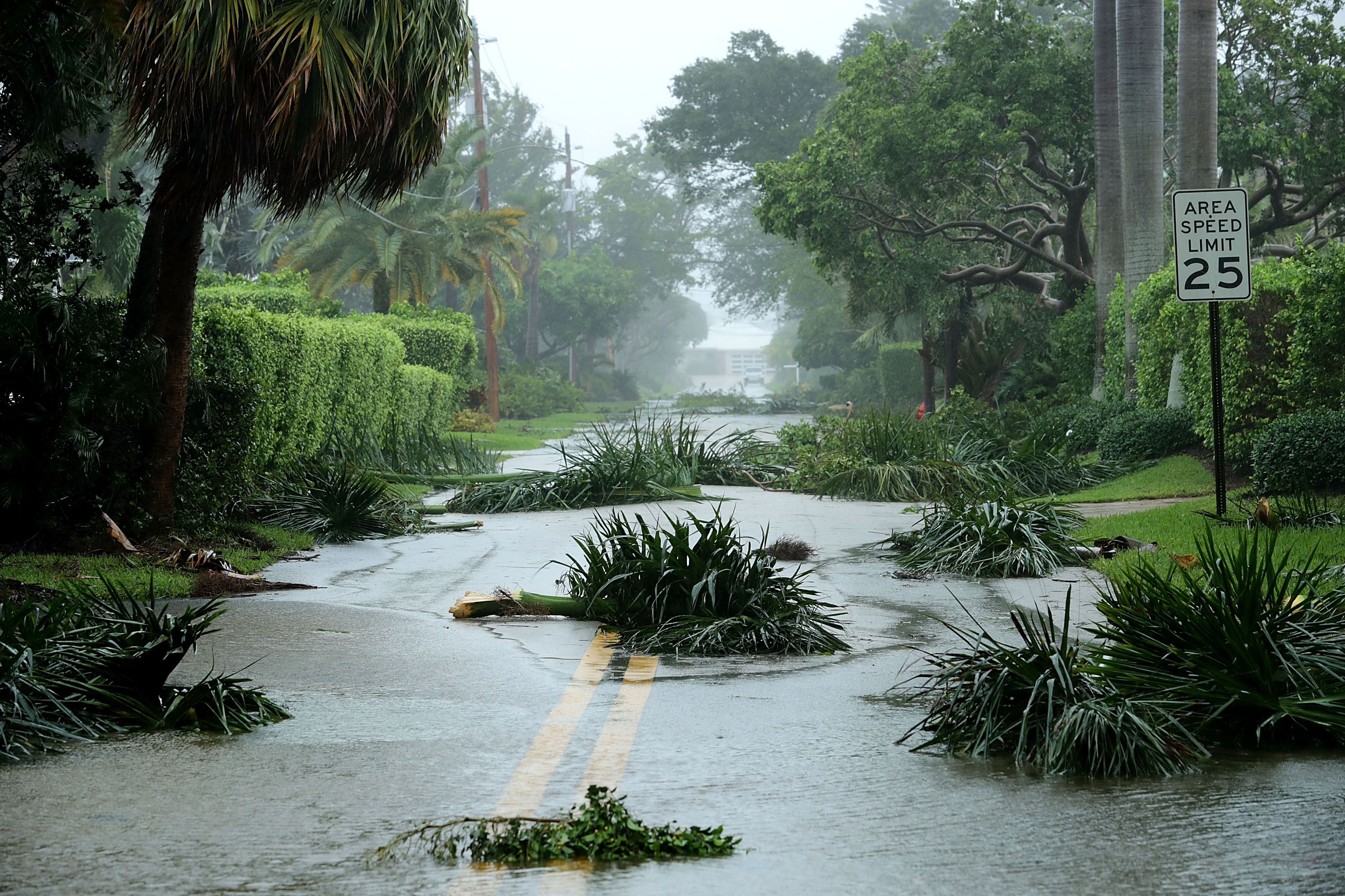 Hurricane Irma damage in Fort Lauderdale, Florida