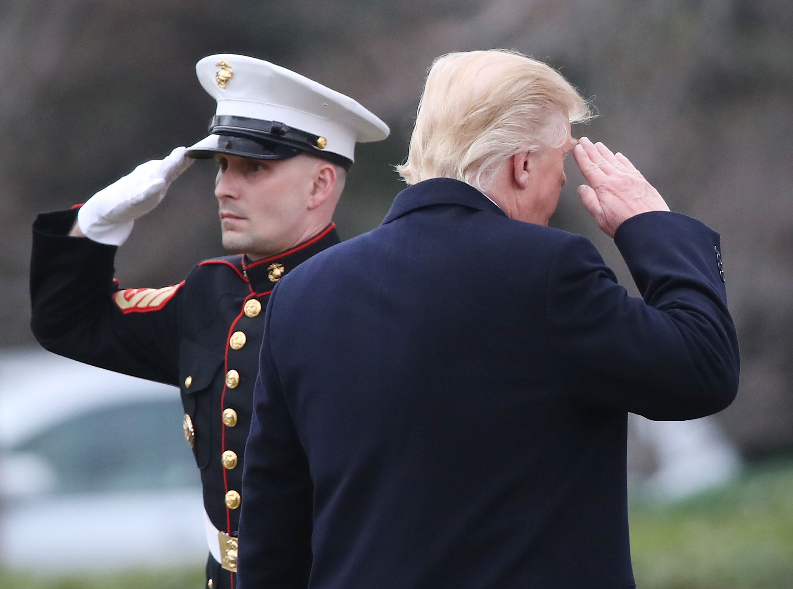 President Trump salutes a U.S. Marine. 