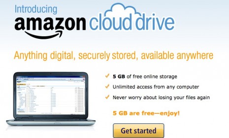 Many believe that the concept of interacting with the &quot;cloud&quot; (internet-based files and software) rather than a harddrive is the future of computing.