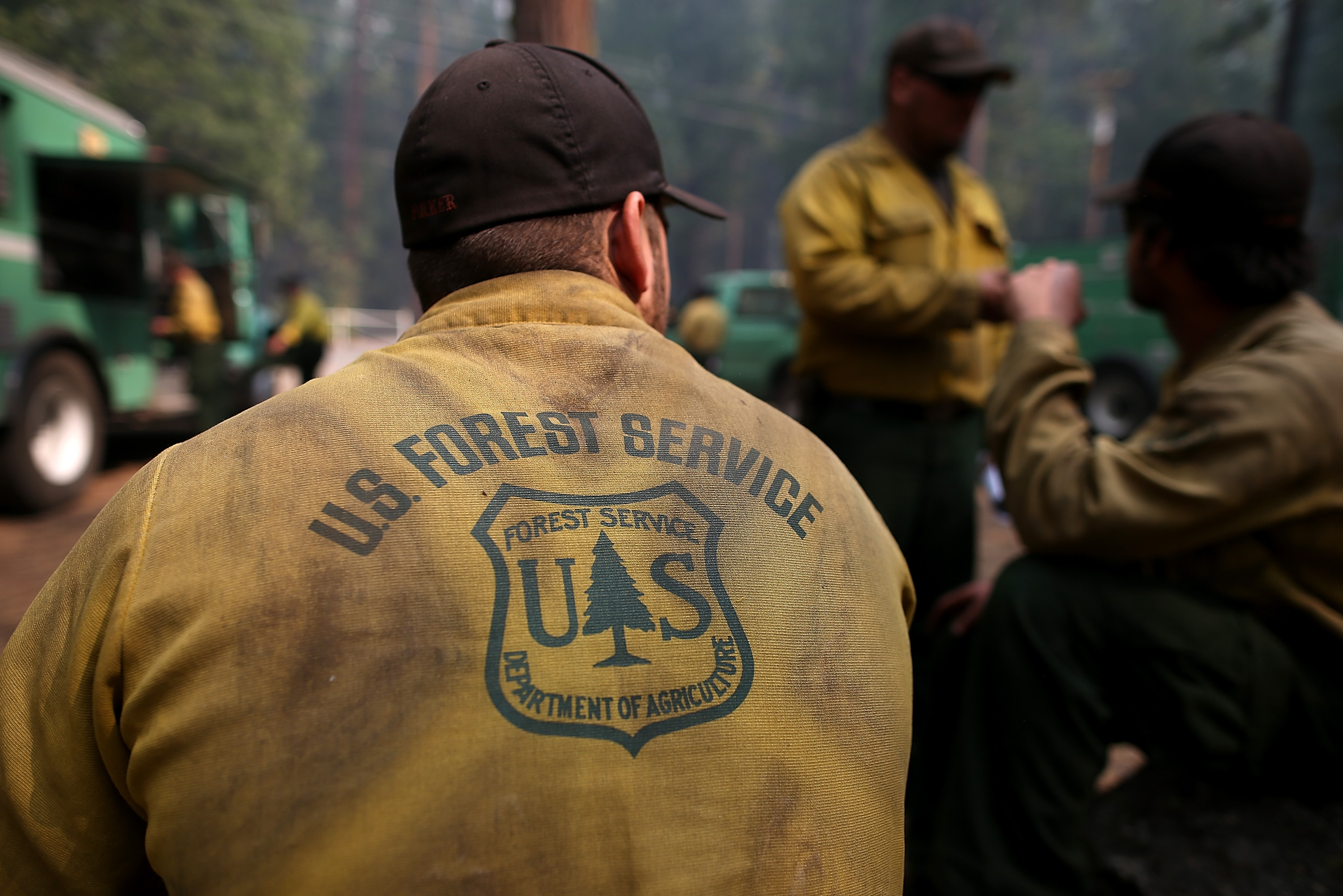 Chief of U.S. Forest Service steps down