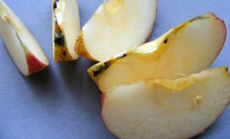 The non-browning apple borrows technology from Australian researchers who used it on potatoes.
