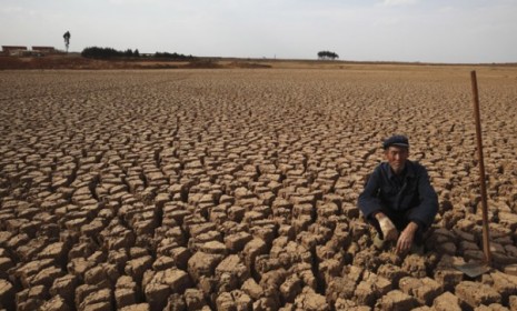 Severe droughts in China as well as epic flooding in Australia have withered crops and driven food prices up worldwide.