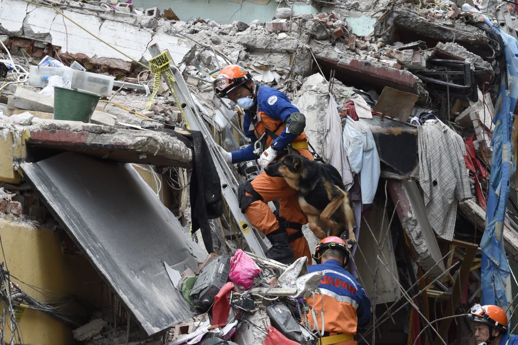 Earthquake rescue efforts in Mexico