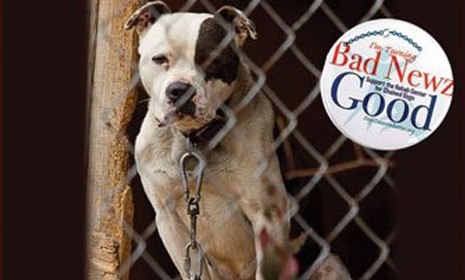 Dogs Deserve Better bought Michael Vick&#039;s old home in Surry County, Va. and plans to turn the former dogfighting compound into a rehab center for pups.