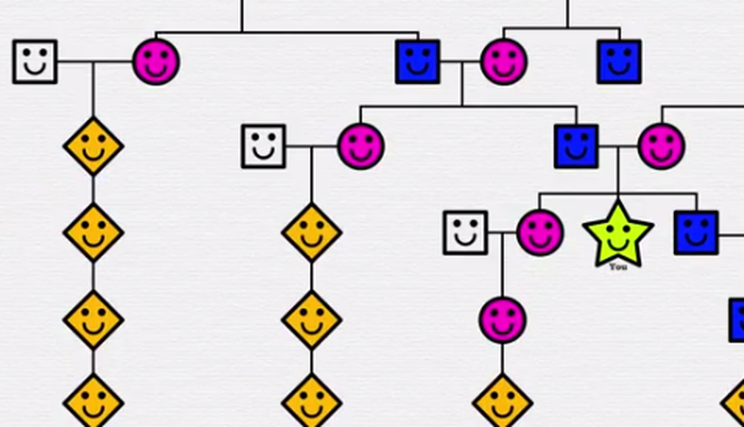 Your family tree, explained