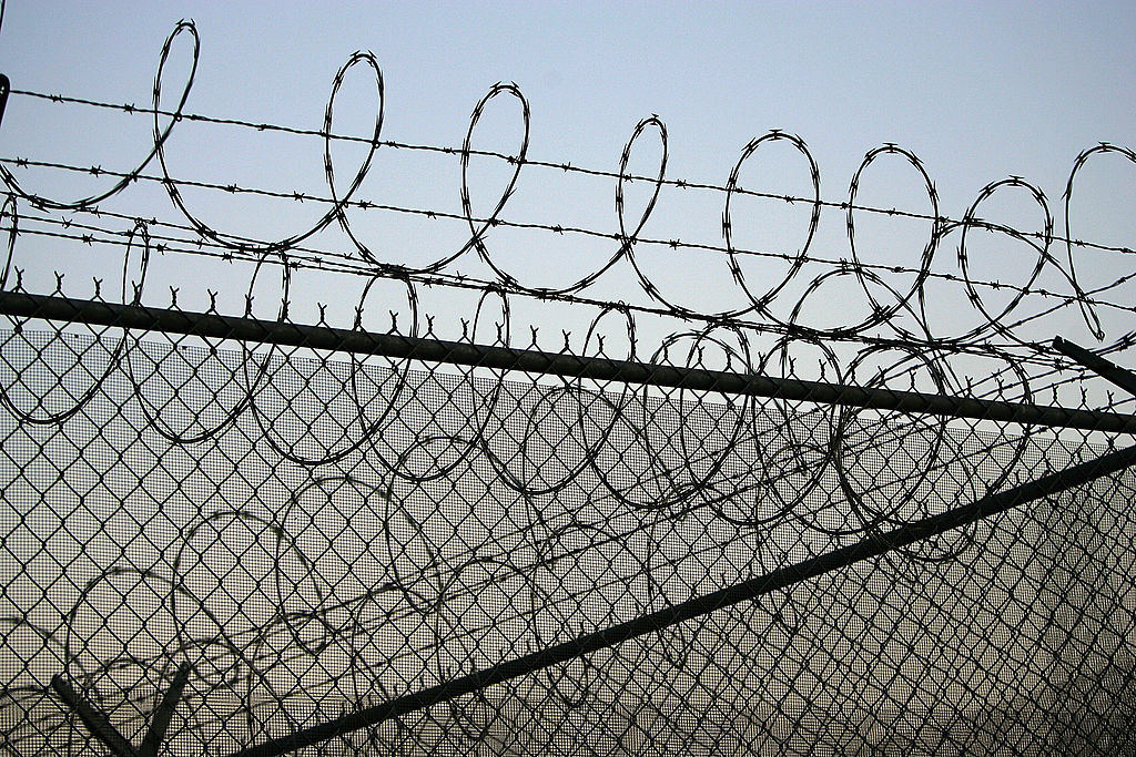 Barbed wire on a fence.