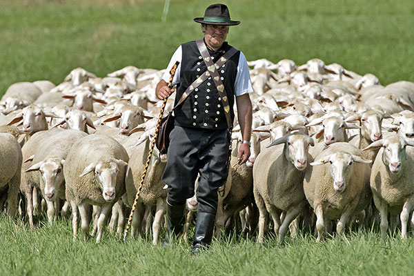 Check out these delightful photos from Germany&#039;s Shepherds Championships