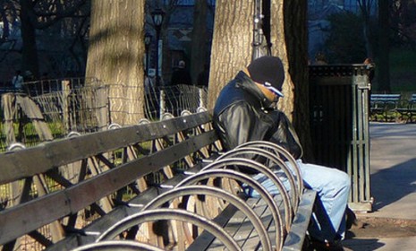A man sleeps on a Central Park bench.