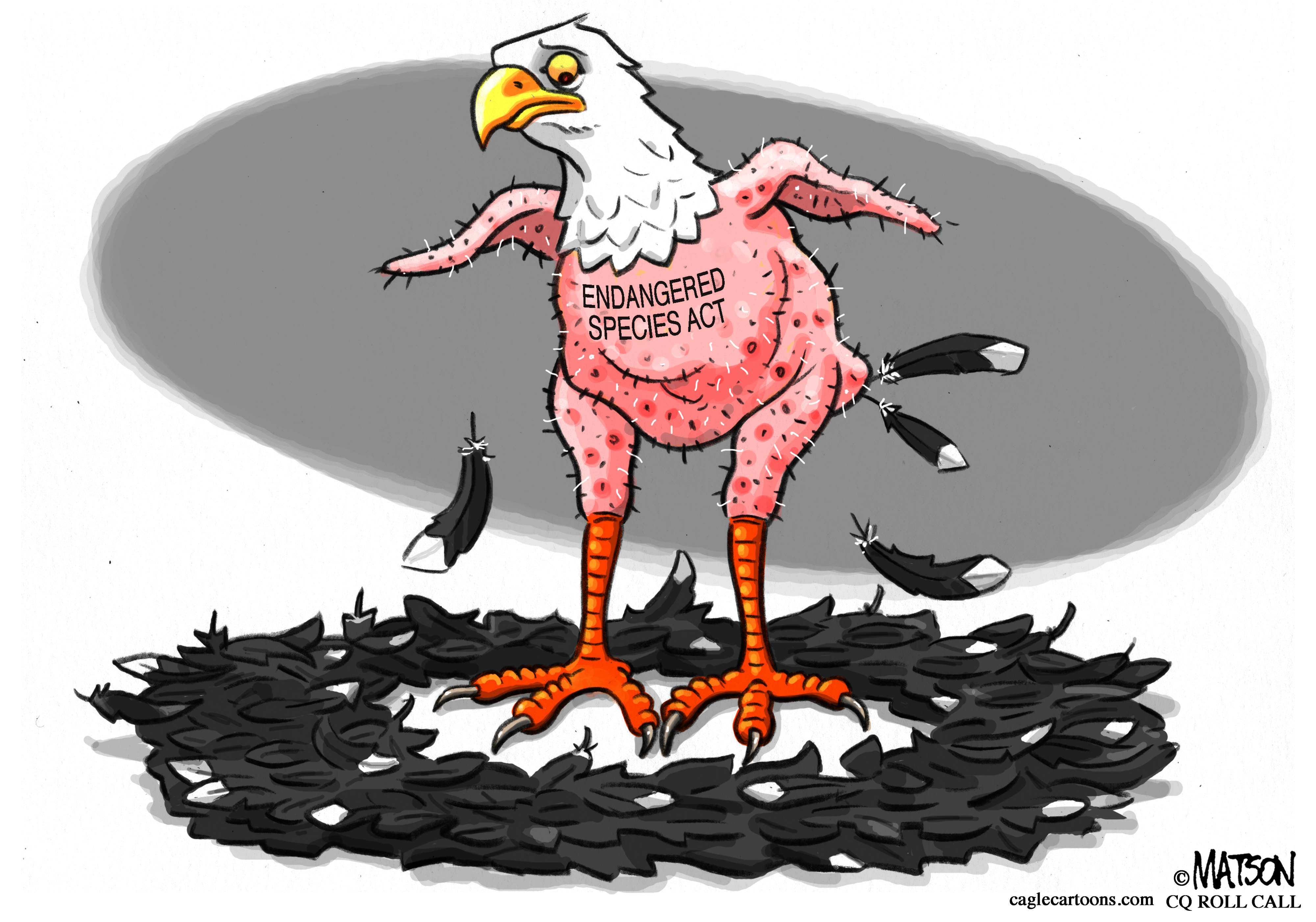 Political cartoon . Endangered Species Act in danger