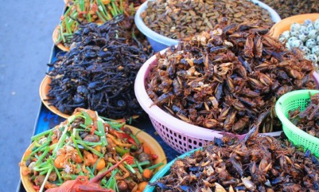 Edible bugs for sale in Cambodia: The EU is looking into insects as a cheap, healthy food source. Yum?