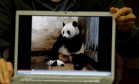 In a YouTube: The Movie world there would be more sneezing pandas.