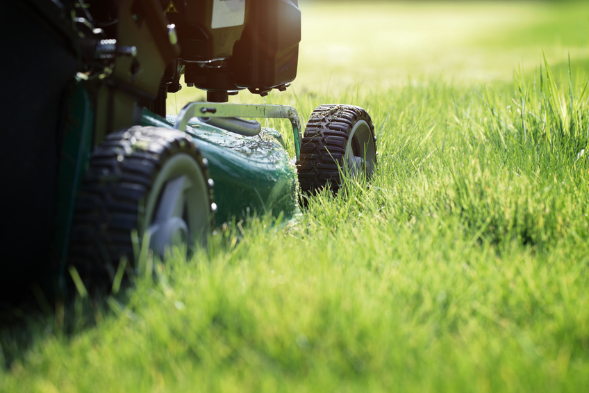 A single mother was arrested for failing to mow her lawn. 