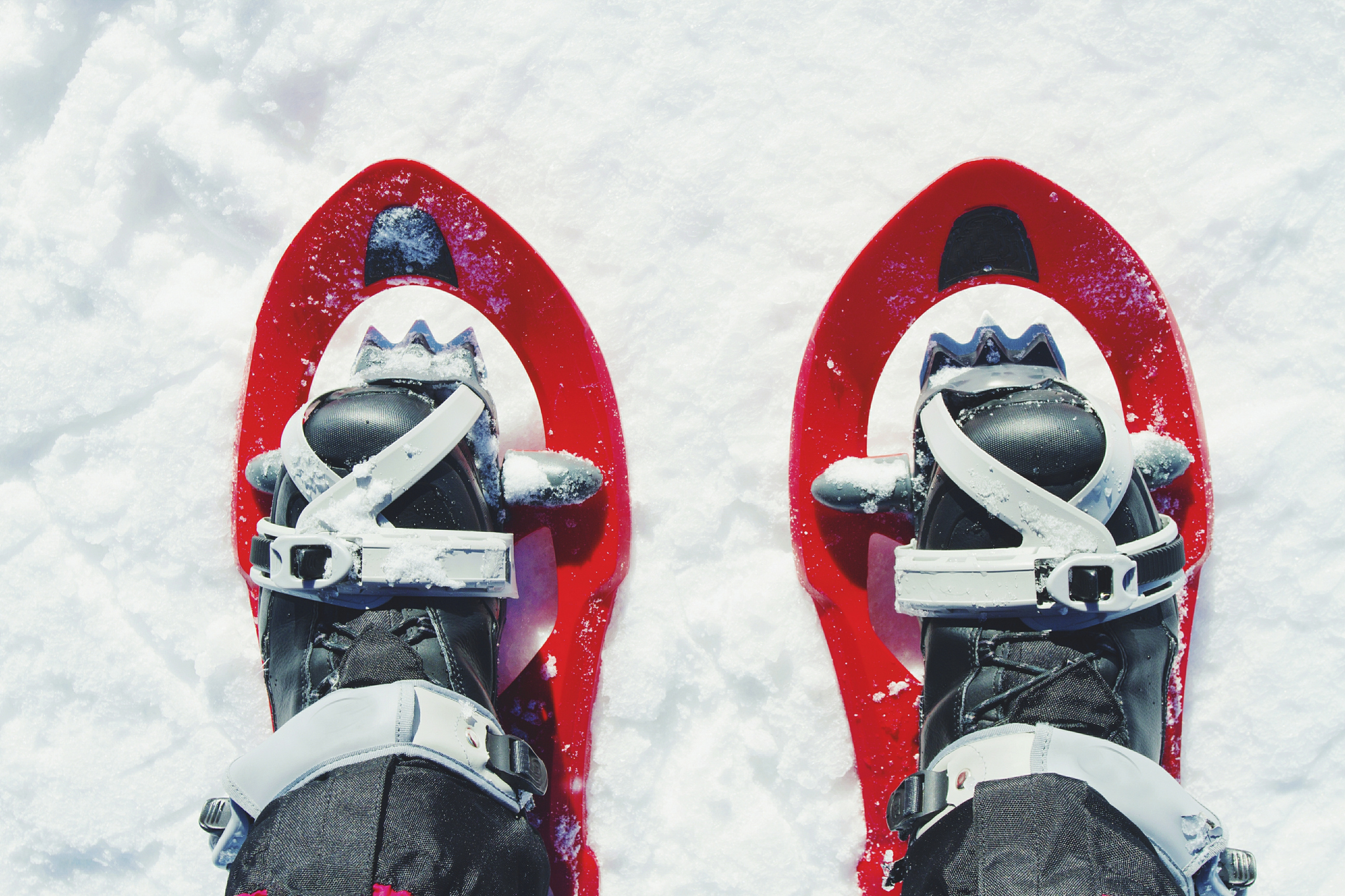 Snowshoes. 