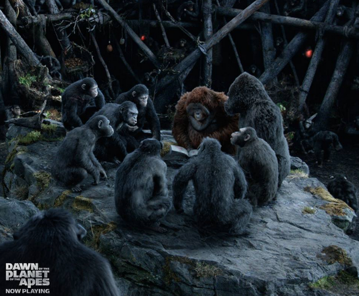 Actual chimps attend Dawn of the Planet of the Apes screening