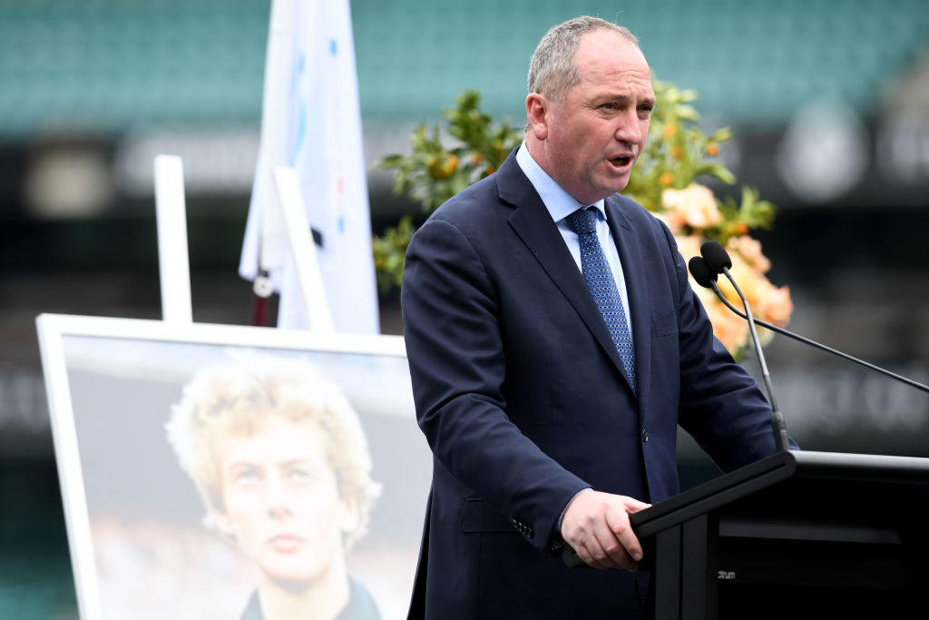 Australian Deputy Prime Minister Barnaby Joyce barred from office