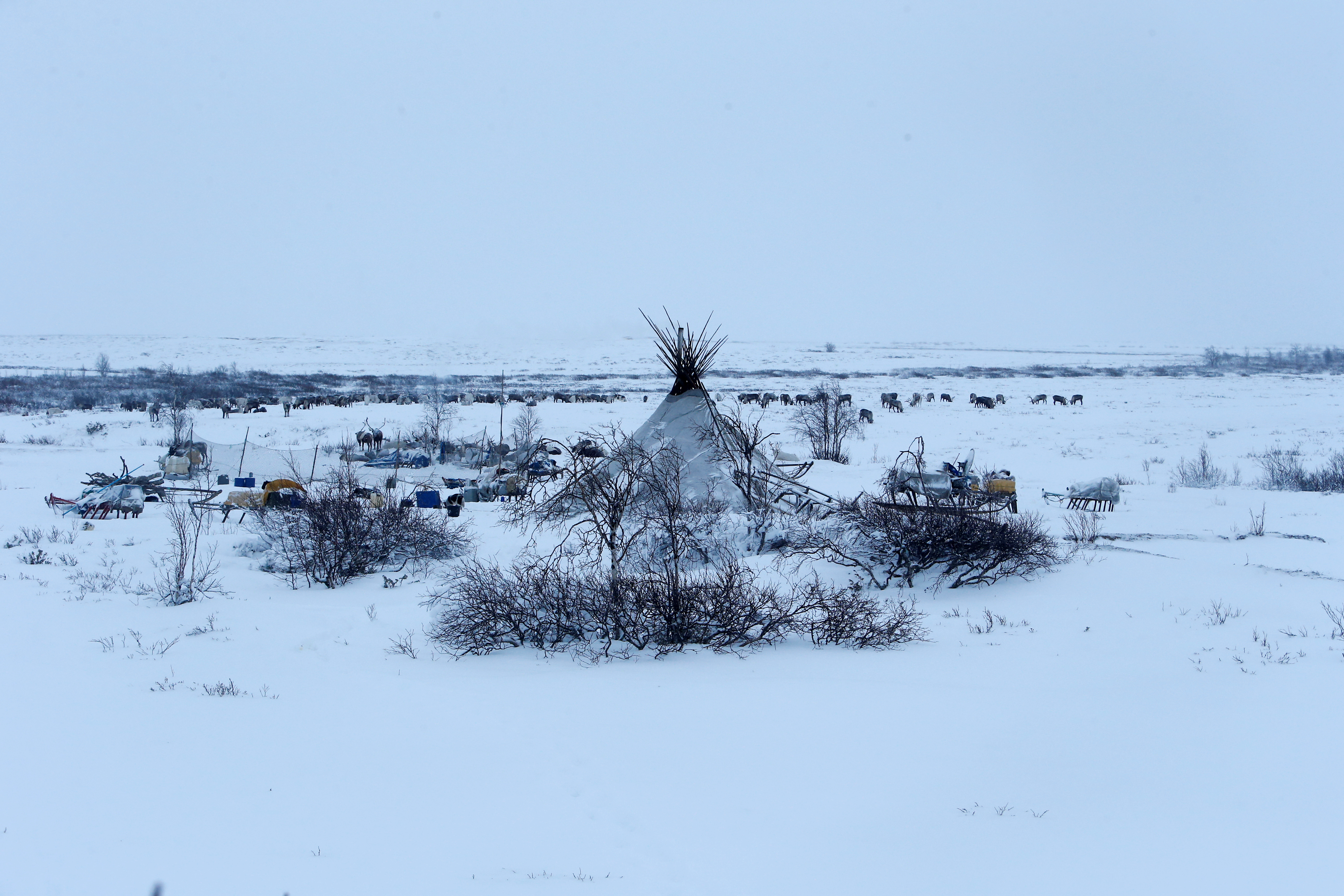 A tent belonging to reindeer herders in the tundra, Nov. 27, 2016.