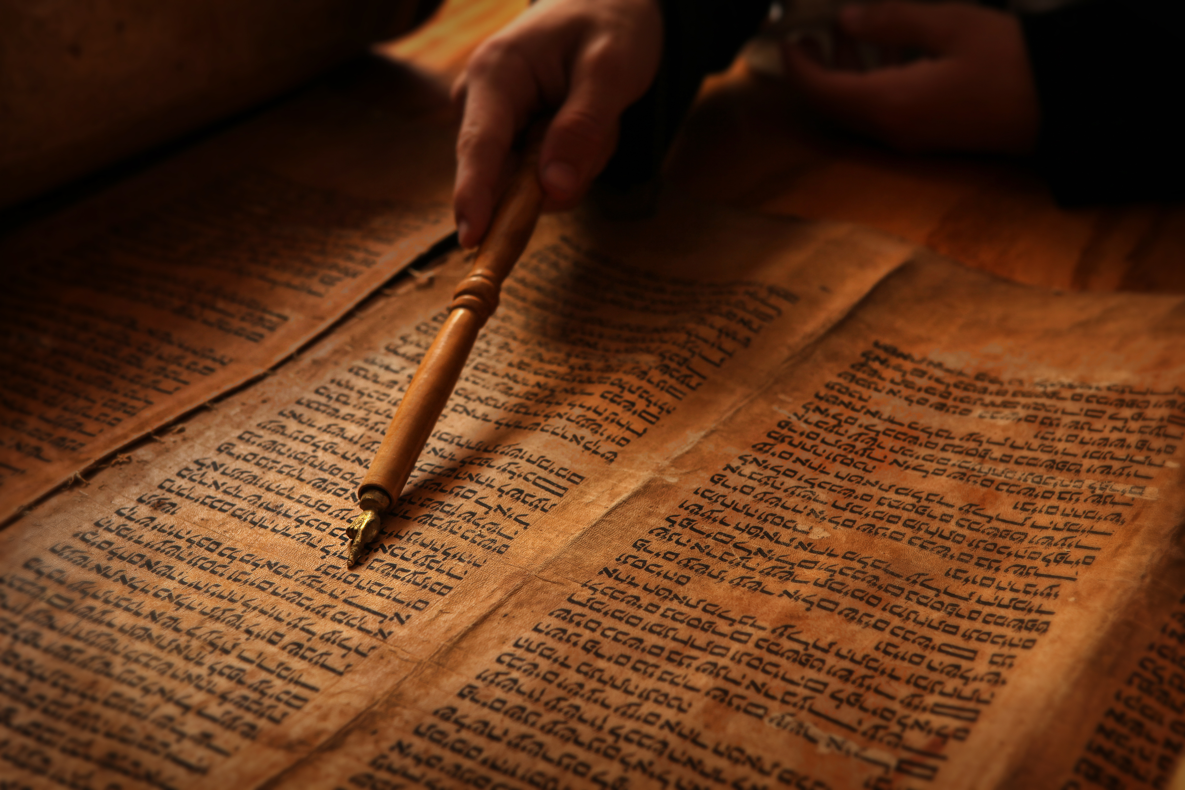 Reading the Torah.