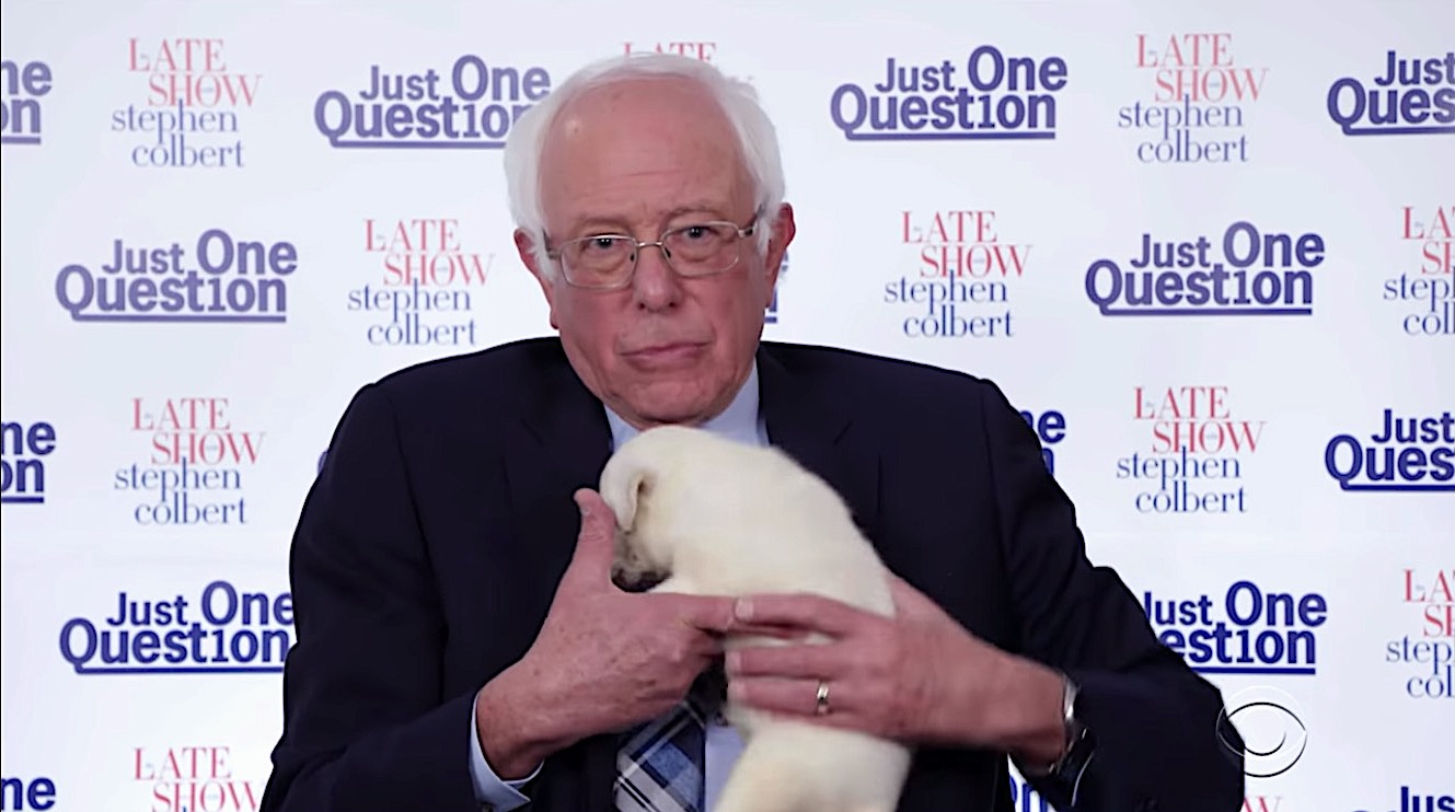Bernie Sanders cuddles a puppy