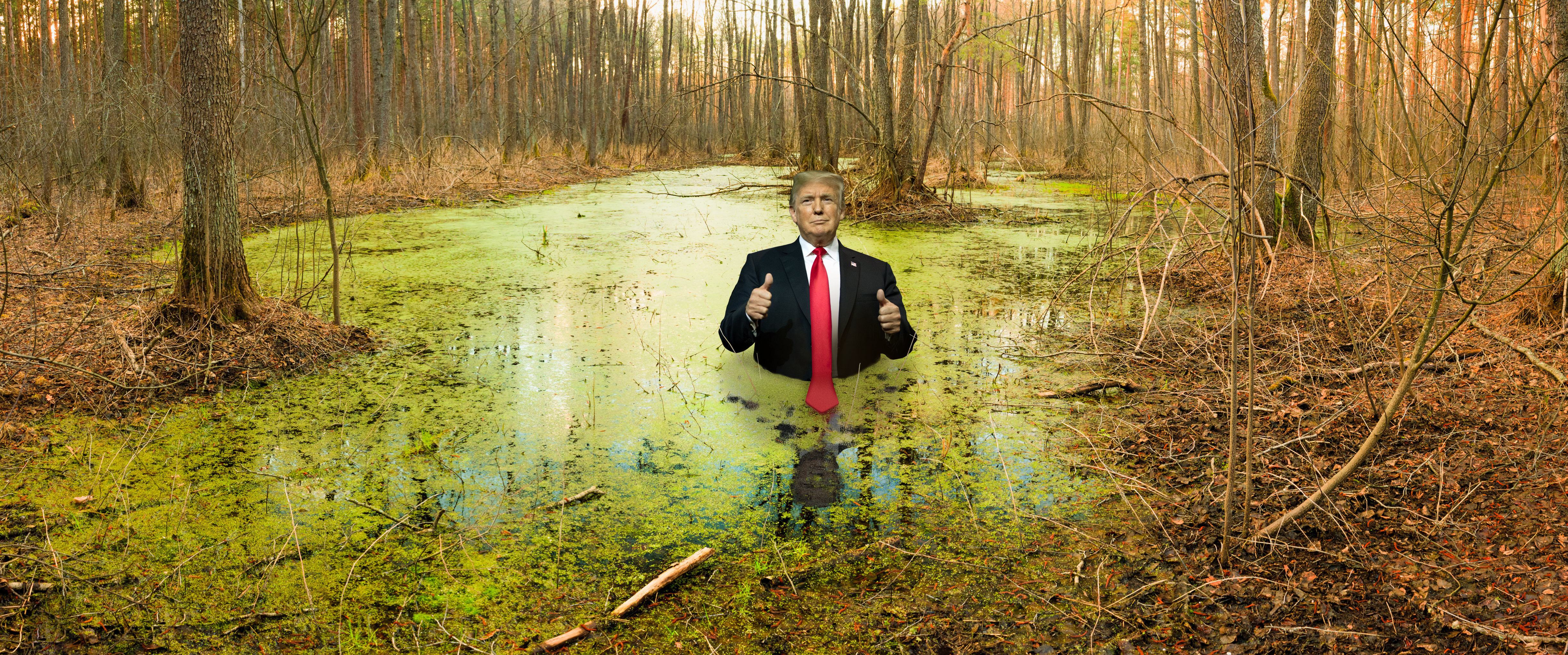 trump_swamp.jpg