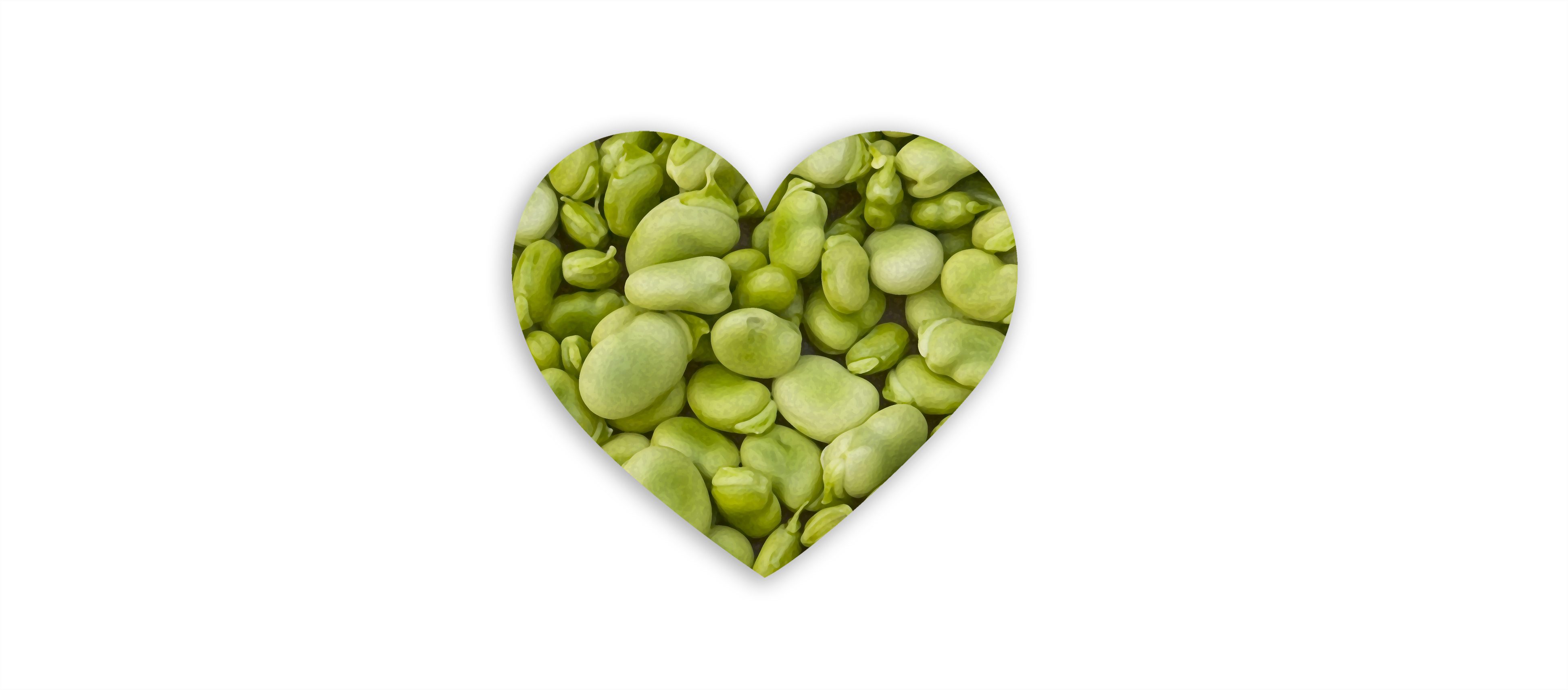 Lima bean love. 