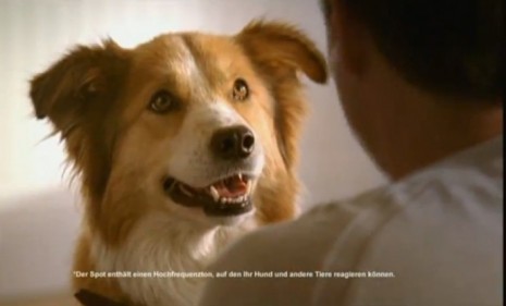Purina dog food is taking targeted marketing to a whole new level, with a commercial featuring high-pitched squeaks audible only to dogs.