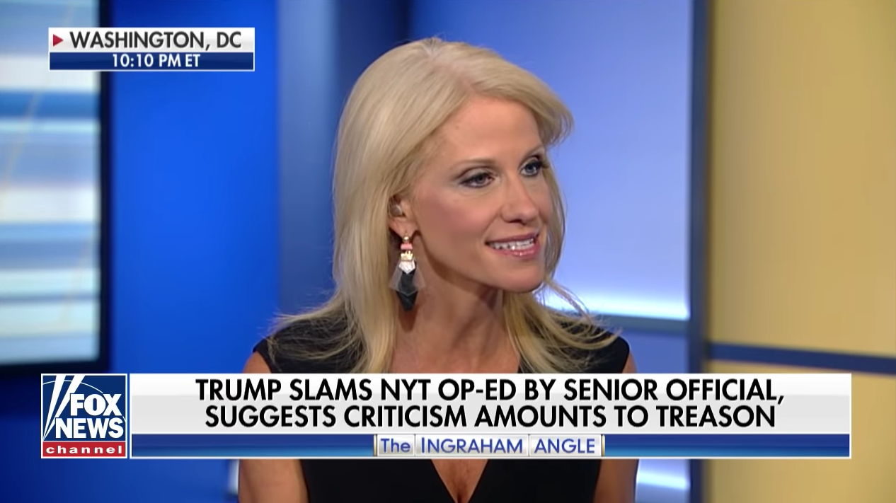 White House counselor Kellyanne Conway on Fox News