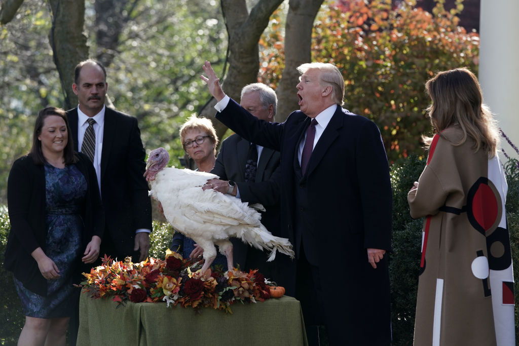 Trump turkey pardon 2018.