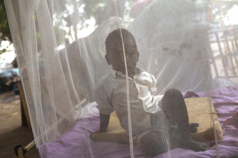 Huge strides are being made in the fight against malaria
