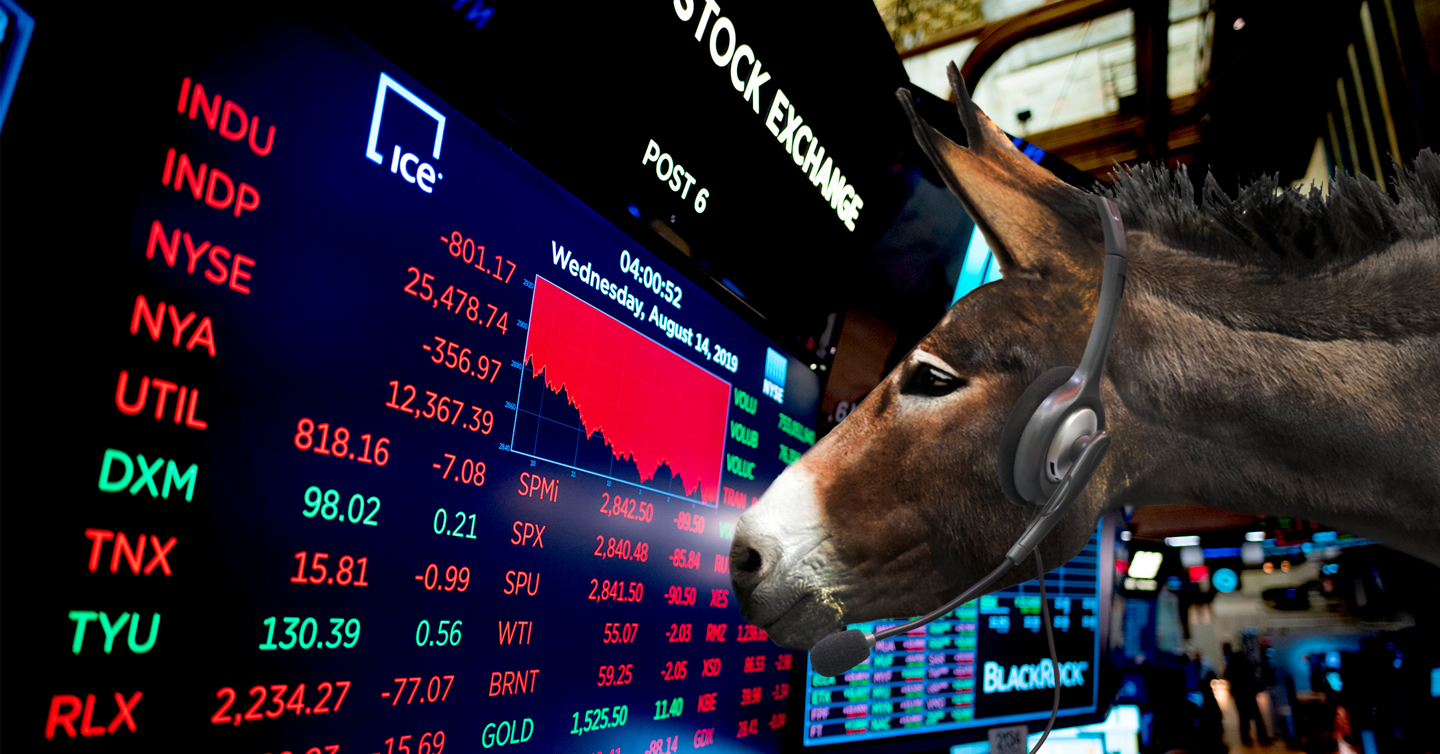 Donkey looks at stock exchange.