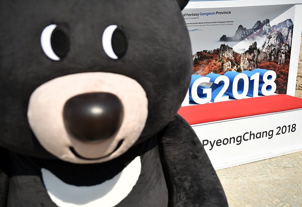 The mascot of the Pyeongchang 2018 Olympics.