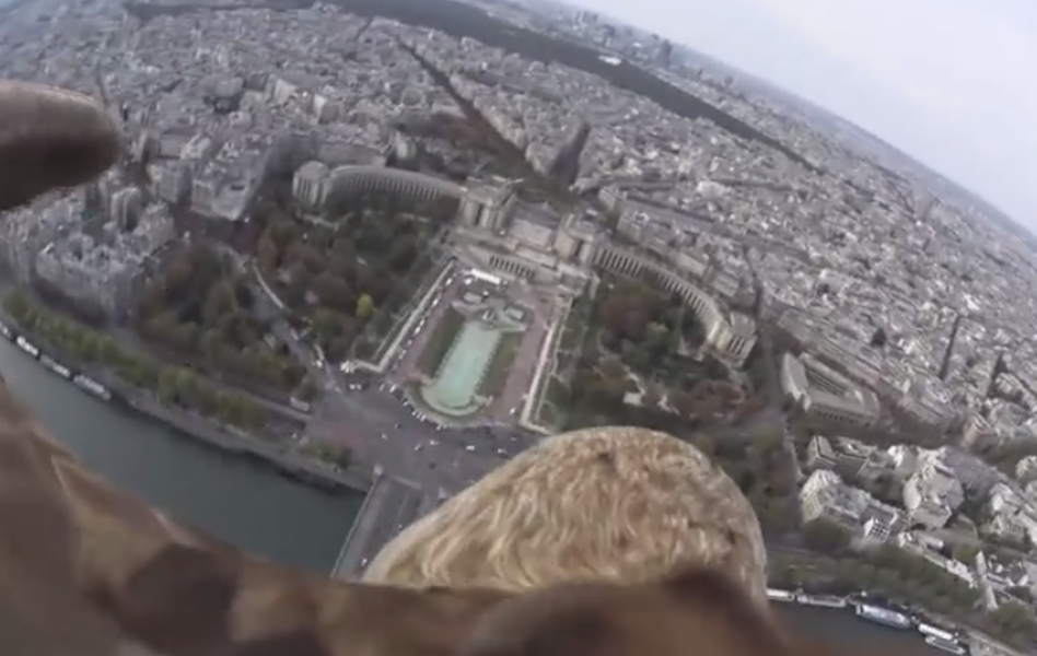 Behold, a literal bird&#039;s-eye view of Paris