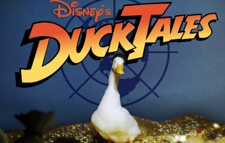 Watch a remake of the DuckTales intro, starring actual ducks