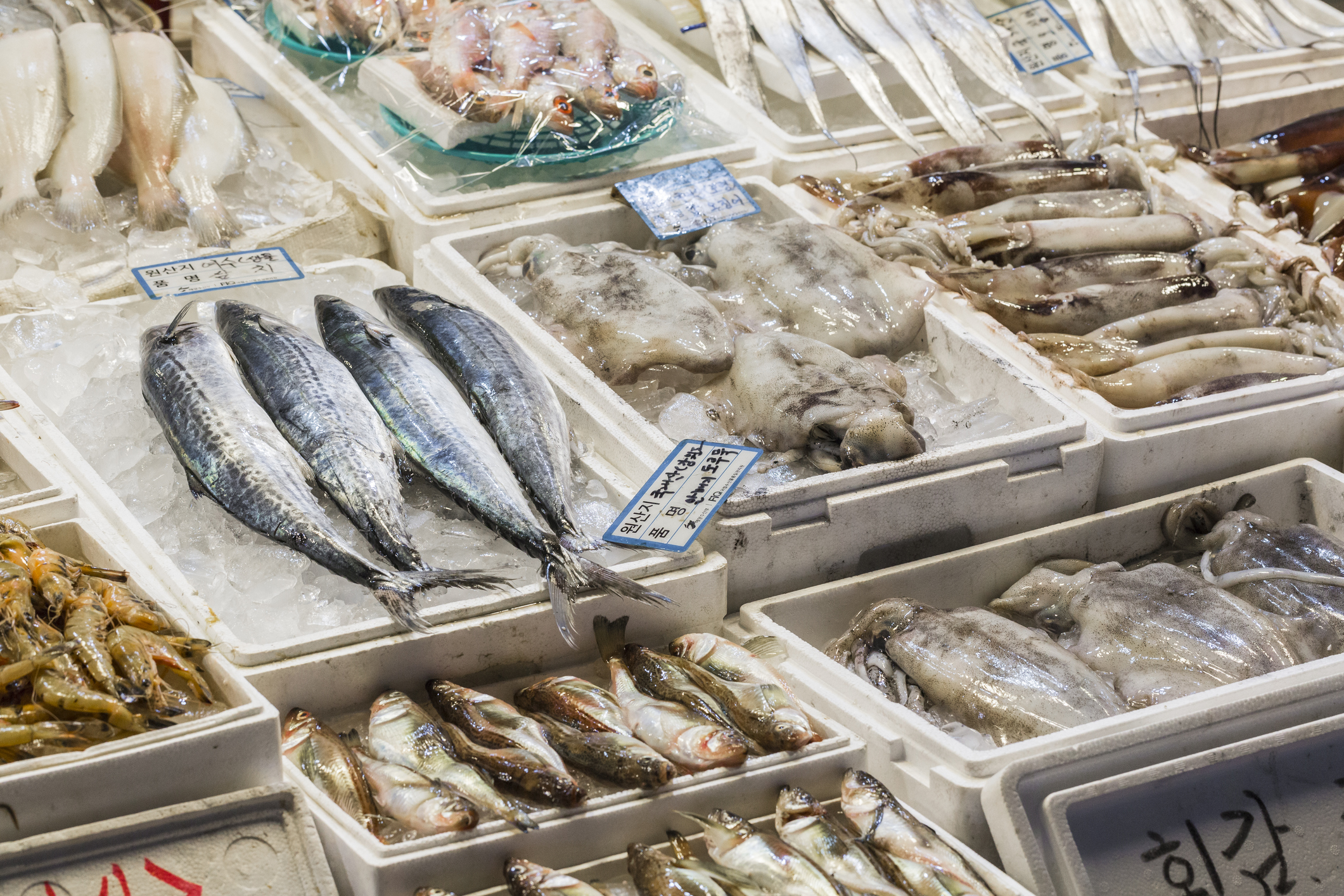 A supermarket sold poisonous fish.