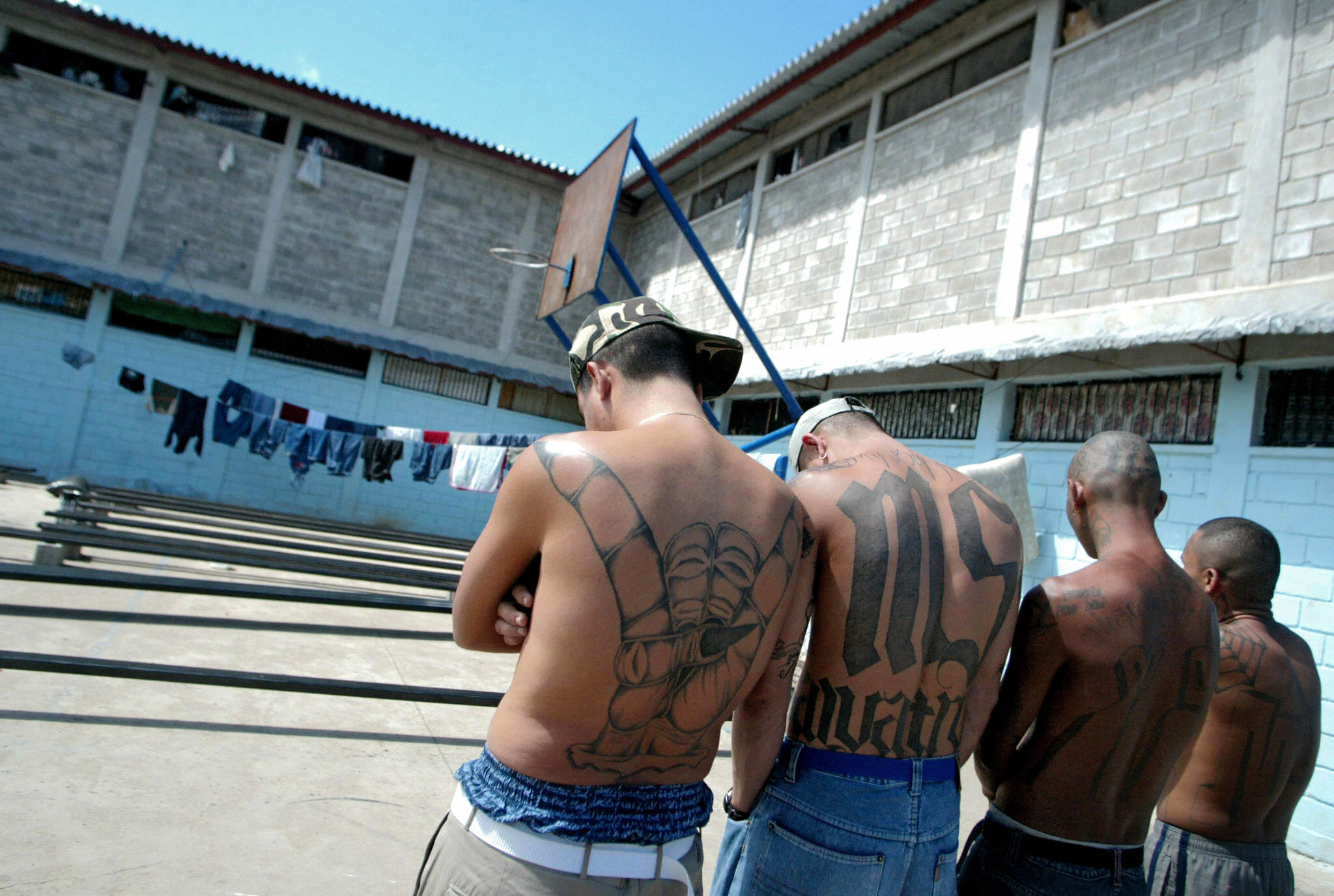 White House doubles down on describing MS-13 as &#039;animals.&#039;